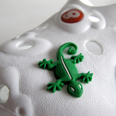 0014-animaux-gecko-vert2.jpg