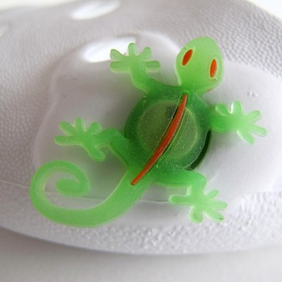 0014-fluo-gecko1.JPG